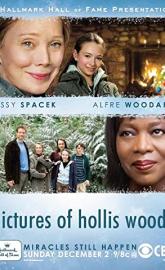 Pictures of Hollis Woods poster
