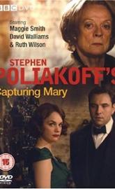 Capturing Mary poster