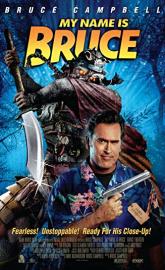 My Name Is Bruce poster