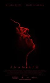 Anamorph poster