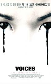 Voices poster