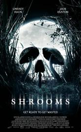 Shrooms poster