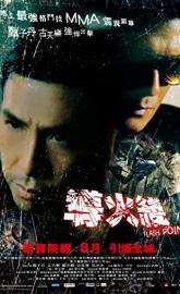 Flash Point poster