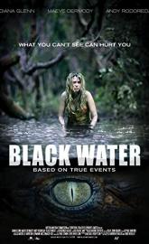 Black Water poster