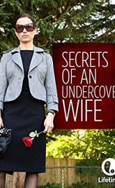 Secrets of an Undercover Wife poster