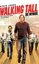 Walking Tall: The Payback poster