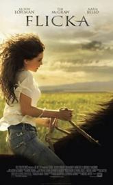 Flicka poster