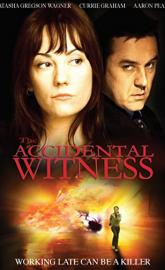The Accidental Witness poster