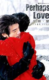 Perhaps Love poster
