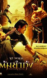 The Protector poster