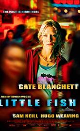Little Fish poster
