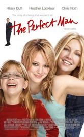 The Perfect Man poster