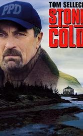 Jesse Stone: Stone Cold poster