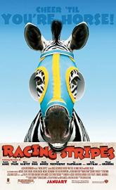 Racing Stripes poster