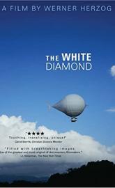 The White Diamond poster