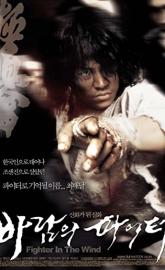 Fighter in the Wind poster