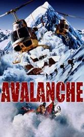 Nature Unleashed: Avalanche poster