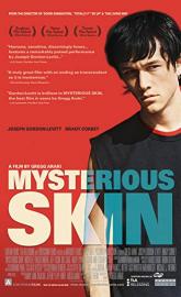 Mysterious Skin poster