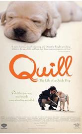 Quill: The Life of a Guide Dog poster