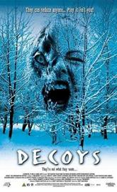 Decoys poster
