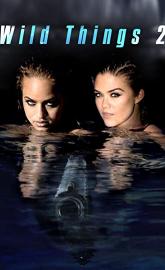 Wild Things 2 poster