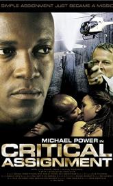 Critical Assignment poster