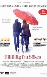 Seeking Temporary Wife poster