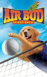 Air Bud: Spikes Back poster