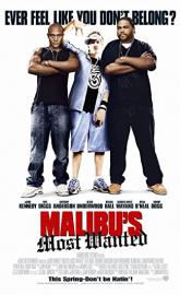 Malibu's Most Wanted poster