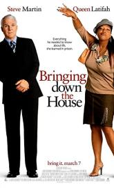 Bringing Down the House poster