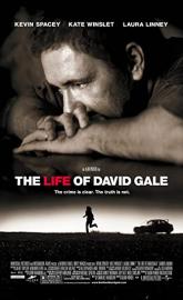 The Life of David Gale poster