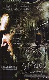 Spider poster