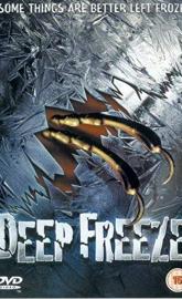 Deep Freeze poster