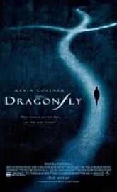 Dragonfly poster