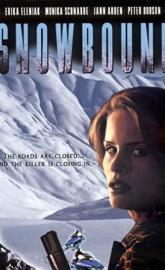 Snowbound poster