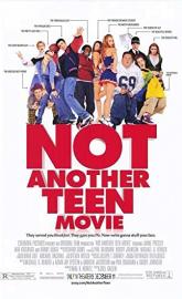 Not Another Teen Movie poster