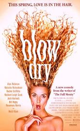 Blow Dry poster