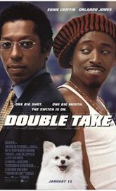 Double Take poster