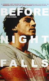 Before Night Falls poster