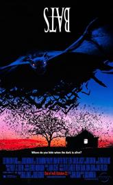 Bats poster