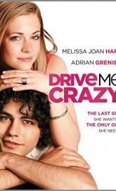 Drive Me Crazy poster