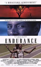 Endurance poster