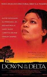 Down in the Delta poster