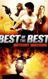 Best of the Best 4: Without Warning poster