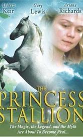 The Princess Stallion poster