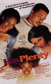 Hav Plenty poster