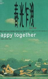 Happy Together poster