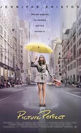 Picture Perfect poster