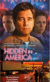 Hidden in America poster