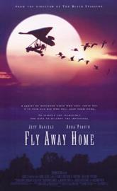 Fly Away Home poster